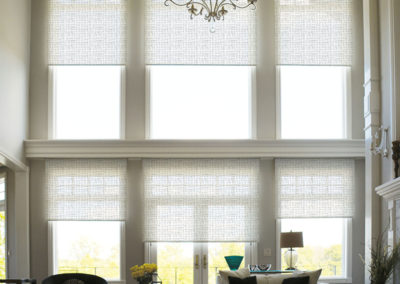 FlexShade roller shades by Draper